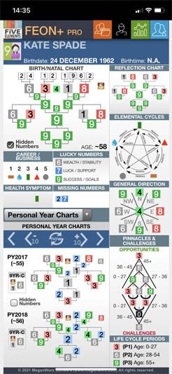 EON Chart of Kate Spade for Year 2018