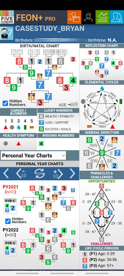 Elements of Numbers FEON+ Pro screenshot
