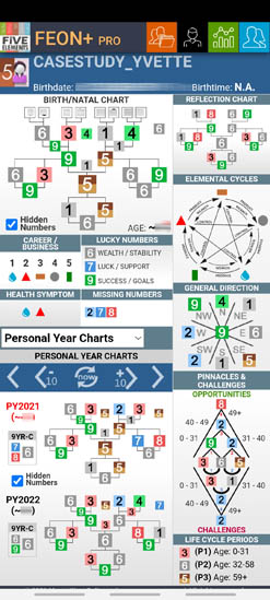 Elements of Numbers: Personal Year Charts