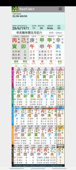 Elon Musk Bazi chart screenshot from BaziCalc+ software with fit to height on device