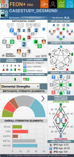 FEON+ Pro: Five Elements Numerology mobile app