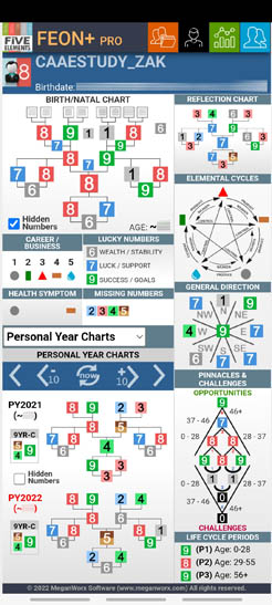 CaseStudy_Zak_EON_Chart_PersnalYear_FEON+ Pro