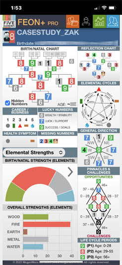 CaseStudy_Zak_ElementalStrength_FEON+Pro
