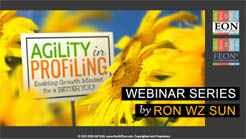 Agility in Profiling. Elements of Numbers.